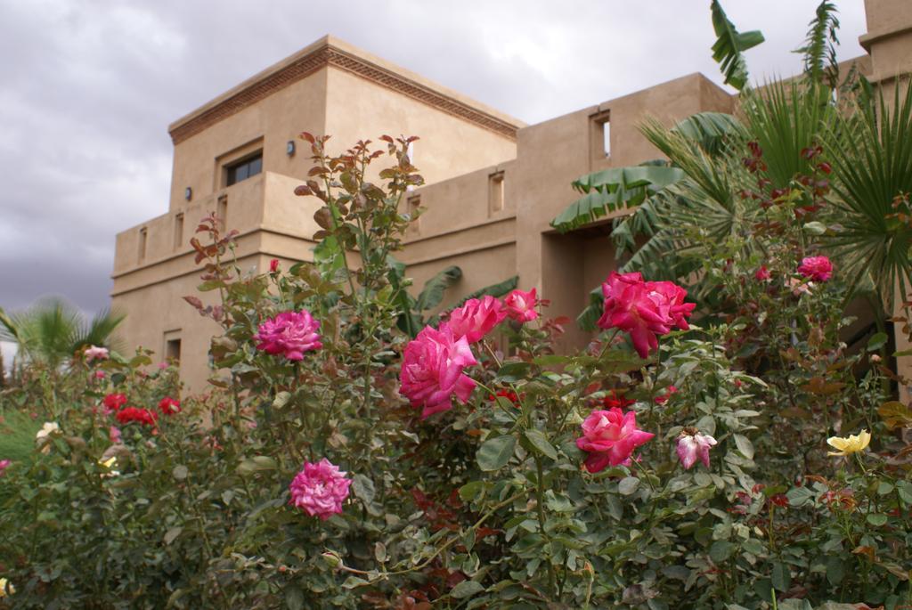 La Kasbah Aalma D'Or Hotell Najem Exteriör bild